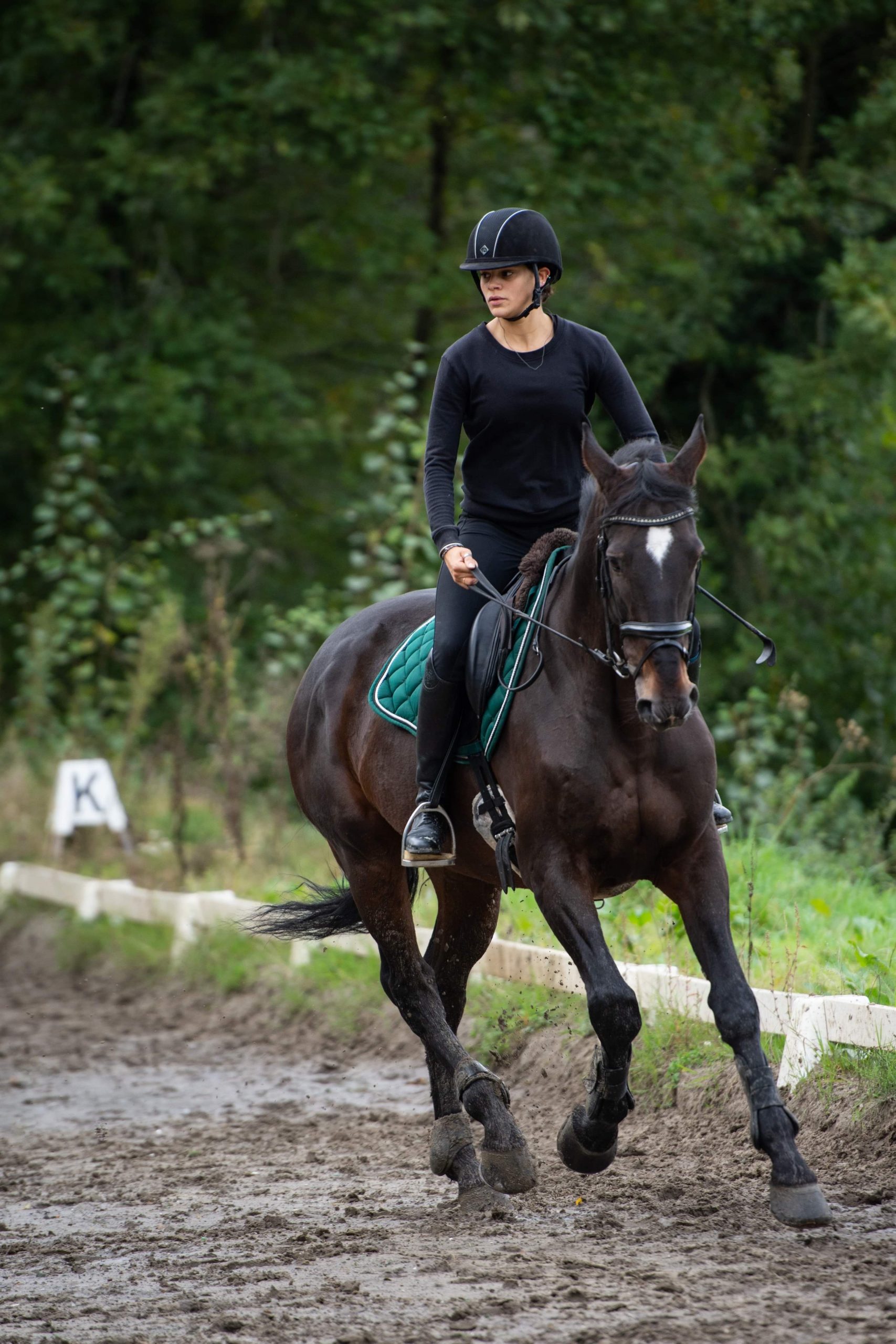 sports-equestres